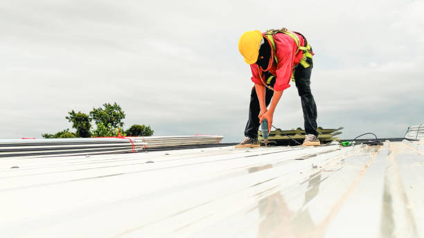 Best Roof Moss and Algae Removal  in Fair Oaks Ranch, TX